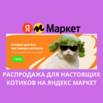 Распродажа для настоящих котиков на Яндекс Маркет